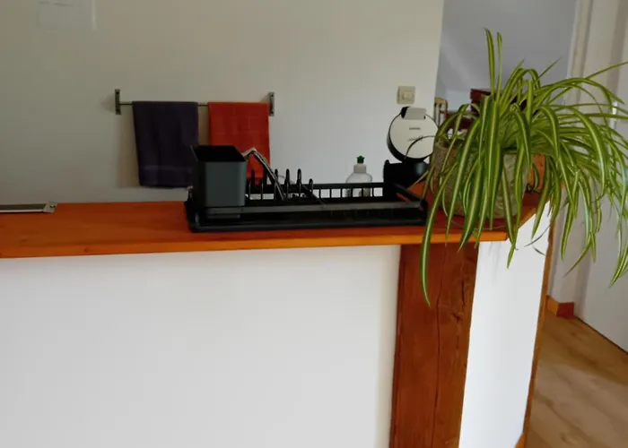 Lägenhet Les Hirondelles